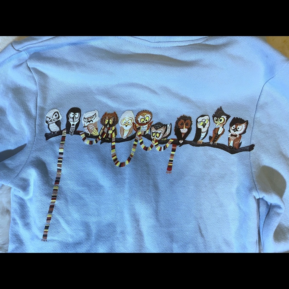 New Dr Hoo (Who) Hoodie. Rare.